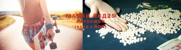 мяу мяу мука Белокуриха
