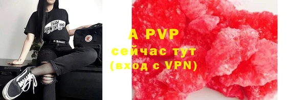мяу мяу мука Белокуриха