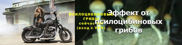 мяу мяу мука Белокуриха