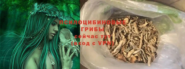 мяу мяу мука Белокуриха