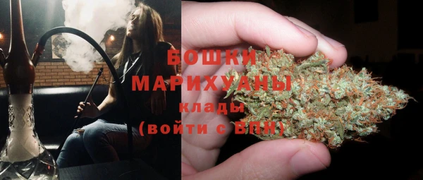 мяу мяу мука Белокуриха