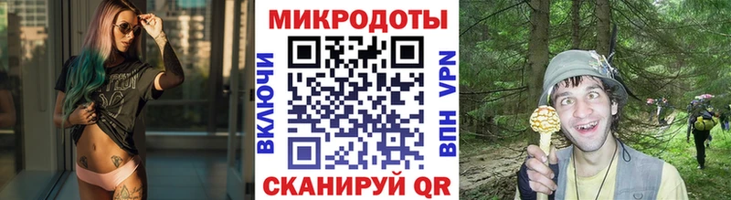 Псилоцибиновые грибы Magic Shrooms  Кукмор 